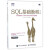 SQL基础教程 第二2版 sql语言必知必会 sql从入门到精通书 SQL数据库技术书籍