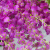 豫之韵 假花藤条塑料绿植物管道装饰花壁挂水管道空调管遮挡吊顶装饰室内客厅阳台 紫藤花（1包12条）紫色