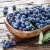 joyvio佳沃 秘鲁进口蓝莓 1盒装 约125g/盒 生鲜水果