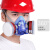 蓝色双罐防尘防毒  防毒面具  有机气体苯 喷漆口罩 焊接 农药 防护面罩 面具+2片防尘棉