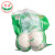 兰州百合特级新鲜百合真空甜百合生鲜蔬菜甘肃兰州特产年货礼盒 500g （55g果*9颗）