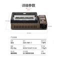 岩谷（Iwatani）烧烤卡式炉便携式套装野炊便携烤肉烤盘全套烧烤套装 ZGH-RBT-1烧烤炉（带烤网）