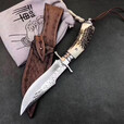 雨轩户外大马士革钢刀小刀直小刀双护手钢头白钢刻花天然鹿角手柄