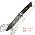 雨轩户外 大马士革钢刀长毛象化石小刀布满金丝纹理沙漠铁木组合手柄