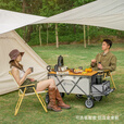 北欢bavay营地露营推车户外野餐便携pro折叠拉杆车野营手拉拖车F02 420L 黑色pro（尾部可展开）