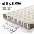 探险者（TAN XIAN ZHE） 户外气垫床充气床家用加大充气床垫加厚户外便携床 内置泵【三人】充气床+靠背
