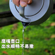 钛途（TITO TITANIUM）纯钛户外烧水壶800ml折叠手柄轻量便携露营茶壶野营煮水壶泡茶壶 纯钛800mL烧水壶-冰花钛色