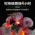 许棋杏无烟煤球 烧烤炭兰炭焦碳无烟煤易燃耐烧非有烟果木活性家用10斤 9点8斤一箱体验装