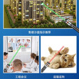 暗月强光远射大功率激光笔灯售楼逗猫教鞭户外镭射红外线手电筒指星笔 高档黑/绿光+满天星（USB充电）