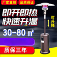 山头林村天然气烤火炉取暖器2024新款燃气取暖器家用户外室内伞型 单独炉头瓦斯款