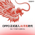 OPPO Find N3【24期免息】16GB+1TB赤壁丹霞超光影三主摄国密安全芯片手机 潜航黑(典藏版)16G+1T 官方标配