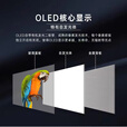 30寸55寸77寸双面透明OLED显示屏自发光超薄智能商用立式台式广告机