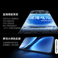 vivo X200 Pro 辰夜黑 蔡司2亿APO超级长焦 蓝晶×天玑9400 6000mAh蓝海电池 拍照 AI 手机分期免息 宝石蓝 16GB+1TB卫星通信版 官方标配