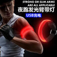 糜岚（MieLanat）【两条装】led发光臂带usb充电夜跑警示灯跑步夜光手臂灯反光装备 一条装红色电池款