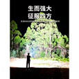 狮晨超强光4800流明迷你强光手电筒充电户外超亮远射小型便携式耐用 LK50-1小款-深空暗夜x2支电池