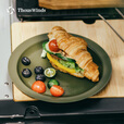 THOUS WINDS千风户外复古碟盘套装304不锈钢碟盘野炊牛排烤肉西餐托盘餐盘 复古餐盘 复古银色