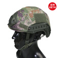 凰一 FAST战术头盔防护训练玻璃钢头盔布套盔套虎斑特战头盔 800g头盔+新绿盔套