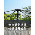 探险者帐篷天幕二合一户外便携式折叠加厚防晒沙滩露营装备全套晴川pro 小号 天幕帐篷二合一 晴川米白