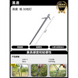 黑鹿（BLACKDEER）三叶草风绳扣 柢地钉 户外露营帐篷天幕装备加粗加厚配件 黑鹿  柢30地钉（1支装）