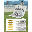 骆驼（CAMEL）野餐垫户外露营帐篷防潮垫郊游野炊防水坐垫地垫地布加厚 P637