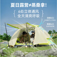黑鹿（BLACKDEER）鹿鸣双人帐篷 户外露营野外徒步防风雨防晒天幕帐篷轻量便携装备