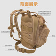 危机4 Hazard4海狸吊桥美国危机4战术双肩包军迷户外徒步登山旅行背包 狼棕色