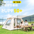清系 全自动露营帐篷户外防晒防雨双人双层公园野外帐篷免搭建2-3人 森林绿【2~3人】涂银防晒款
