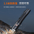FENIX菲尼克斯PD45R ACE手电筒强光超亮远射充电户外便携战术应急 PD35R ACE 标配(含一节4000毫安)