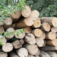 老榆木柴火无烟烧烤木炭木炭好玩柴火户外野炊烧烤篝火 榆木劈柴 25-30cm         60斤