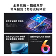 vivo X300 Pro 蔡司2亿APO超级长焦 蓝图自研影像双芯 5年持久流畅OriginOS 6 直屏拍照手机 新品 国补 纯粹黑 16GB+512GB +999元抢银色增距镜套装