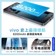 vivoX300 pro 16GB+1TB 天玑 9500 分期0首付免息可选Y500 新品5G手机 8200mAh超薄电池 IP69满级防水  【龙晶紫】12GB+256GB 【官方标配】一年全国联保一年店铺延保