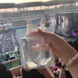 智宙音乐节水袋演唱会一次性果汁饮料袋软水袋装水便携演唱会坐垫 加厚款软水袋[500ml]10个装