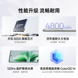 OPPOReno11 Pro  5G通 骁龙8+旗舰芯 拍照光影美学家 Reno 11Pro 松石绿 12GB+512GB 单机+第三方品牌快充+店保一年