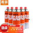 岩谷（Iwatani）便携卡式炉气罐户外卡式防爆燃气罐液化气瓦斯丁烷气瓶 岩谷气罐250g * 2瓶