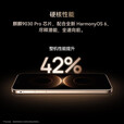 华为（HUAWEI）HUAWEI Mate 80 Pro Max 麒麟9030 Pro 超透亮灵珑屏手机全新 极昼金 16GB+1TB 官方标配【全新未拆】