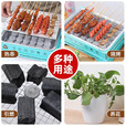 速燃炭圆形块木炭烧烤碳围炉煮茶家用圆形烧烤碳易燃耐烧 33MM 【30块】烤鱼烧烤