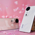vivo x200 pro  新品5G手机 16GB+512GB 选购 24期 免息 S19 桃花扇 6000mAh超薄长续航 影棚级柔光环  桃花扇16GB+512GB 12期分期