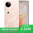 vivo x200 pro  新品5G手机 16GB+512GB 选购 24期 免息 S19 桃花扇 6000mAh超薄长续航 影棚级柔光环  桃花扇16GB+512GB 12期分期
