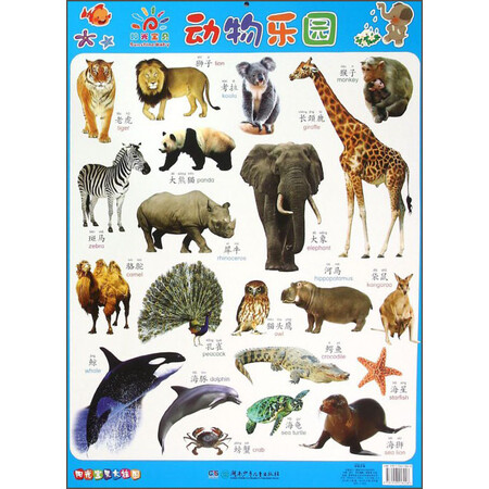 阳光宝贝大挂图动物乐园