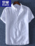 罗蒙（ROMON）夏季立领纯亚麻短袖T恤男士麻料带领半袖上衣套头薄款M 小领白色 S