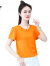 啄木鸟不规则纯棉短袖t恤女士2024夏新款衣服显瘦小个子短款T恤V领上衣 蓝色 XL（建议115斤-130斤）
