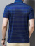 法莎尼亚奢侈高档品牌短袖t恤男士夏季薄款含桑蚕丝真丝条纹Polo体恤衫 蓝色条纹-礼盒装 L