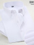 G2000夏季薄款新郎伴郎结婚装衬衫男短袖职业工装潜粉色衬衫西装 白色 纯白BM006 37