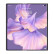 华为（HUAWEI） Mate Xs 2 升级支持北斗卫星消息【全新原封+全国联保】 霜紫 8GB+256GB【评价10红包】