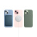 Apple iPhone 15 (A3092) 256GB 绿色 支持移动联通电信5G 双卡双待手机【快充套装】