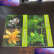 【二手9成新】中草药原植物鉴别图册1-4册全 /黄海波 广西科学技术