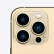 Apple iPhone 13 Pro Max (A2644) 256GB 金色 支持移动联通电信5G 双卡双待手机苹果