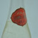 西凤酒80年代老酒收藏酒1988-1989年白标凤香型老白酒 单瓶