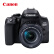 佳能（Canon）EOS 850D 单反相机（EF-S18-55mm f/4-5.6 IS STM 镜头）256G卡+双肩包+备电+双充+滤镜+三脚架