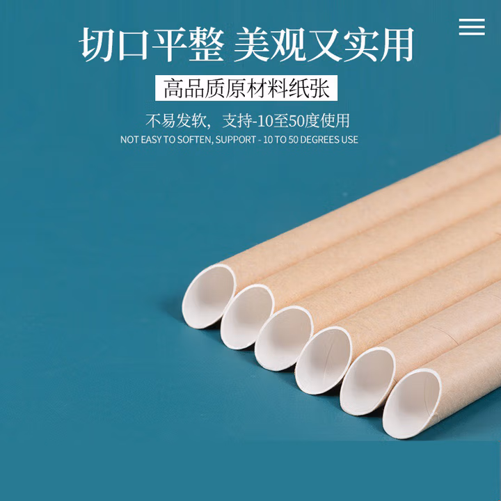 海斯迪克 一次性纸质吸管 独立包装 牛皮纸12*190mm(斜口)100支 H-